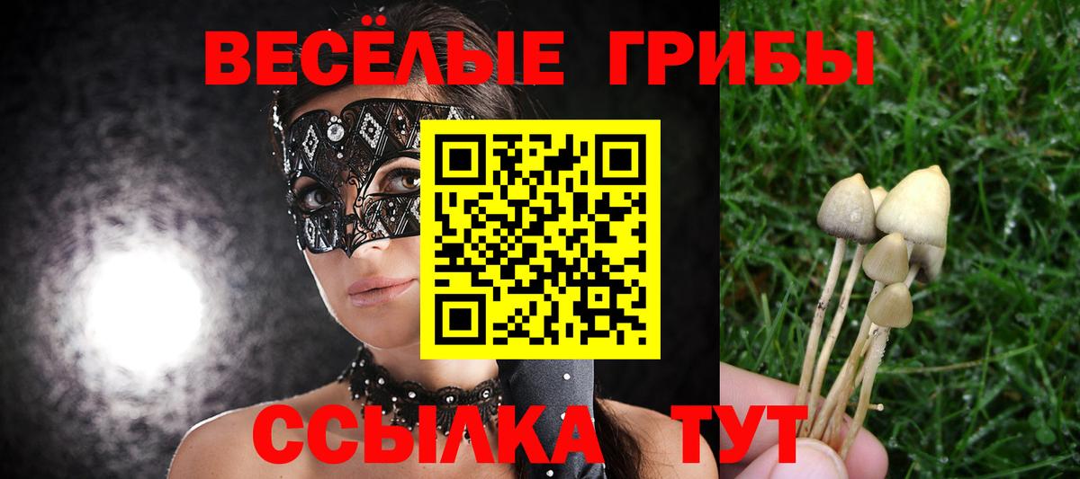 Прохладный  Галлюциногенные грибы мухоморы  Вход с VPN 