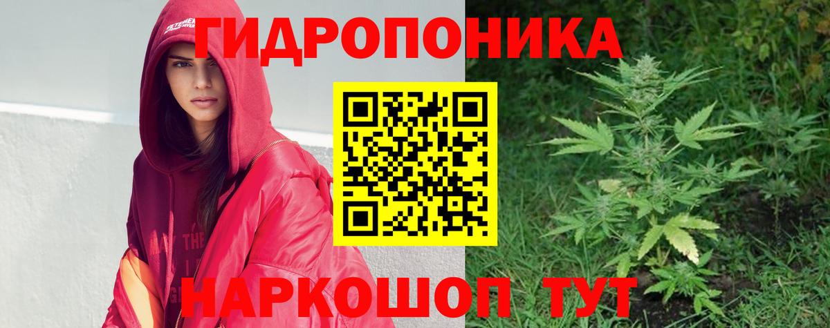 Прохладный  Бошки марихуана AK-47  Бошки Шишки AK-47  Вход с VPN 